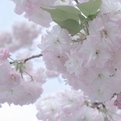 Furry插画故事感设计FurryQQ群